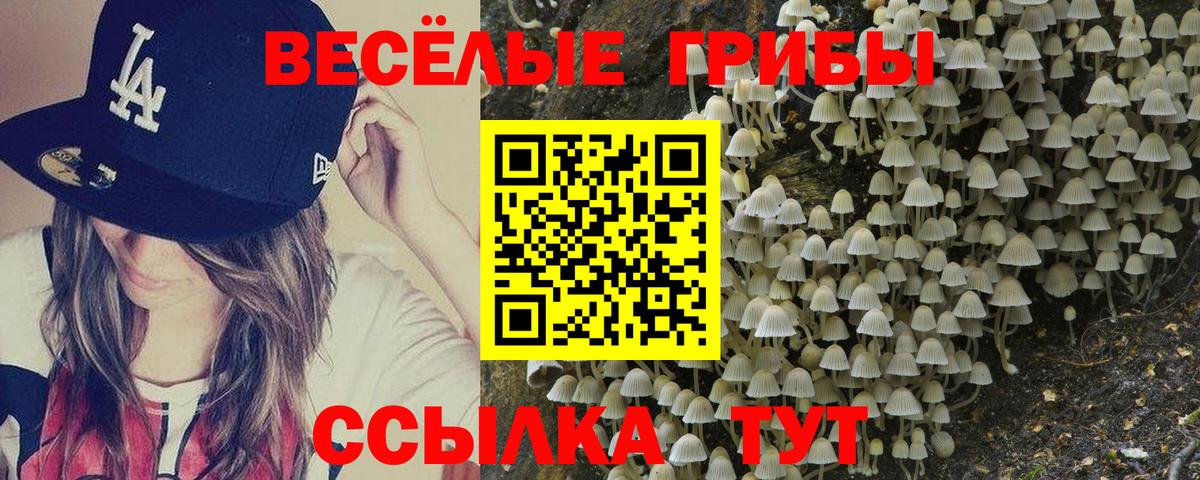Галлюциногенные грибы ЛСД Санкт-Петербург