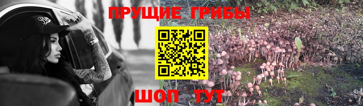 Санкт-Петербург  Галлюциногенные грибы GOLDEN TEACHER  Галлюциногенные грибы мицелий  Вход с VPN 